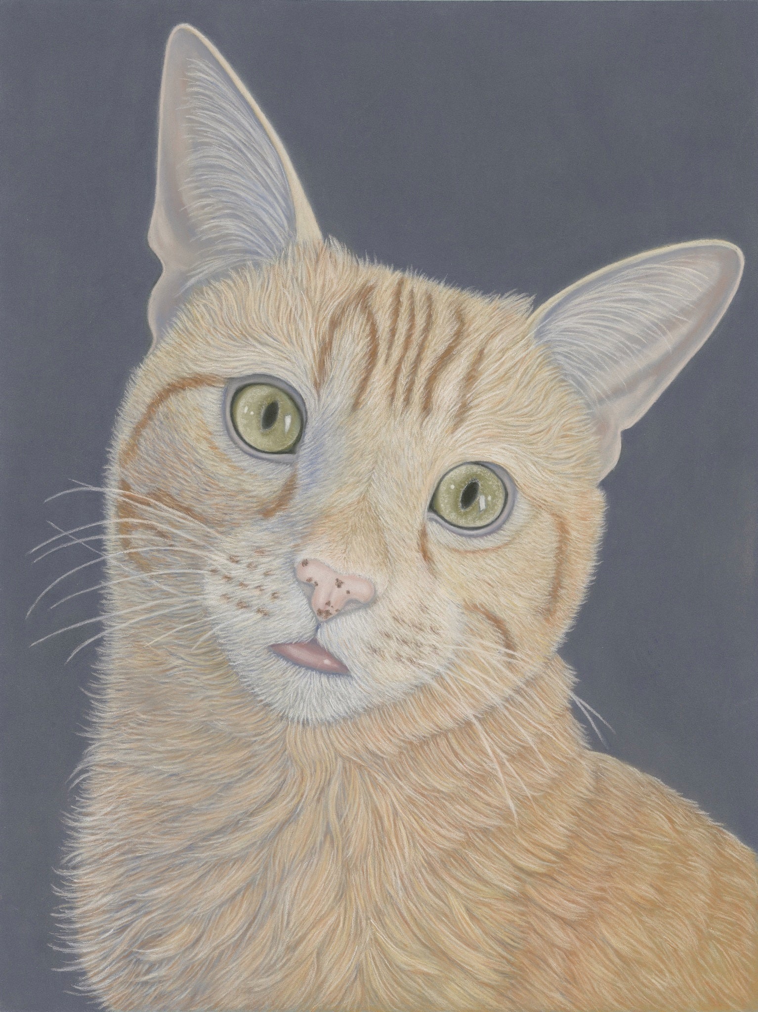 Commission Pet Portrait in Color (Pastels)