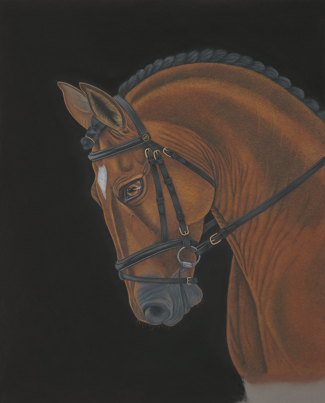 Champion (Dressage Horse)