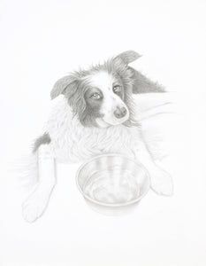 Commission Pet Portrait in B&W (with owner or companion)