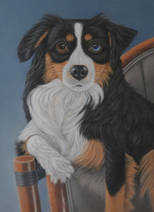 Commission Pet  Portrait in Color (Pastels)